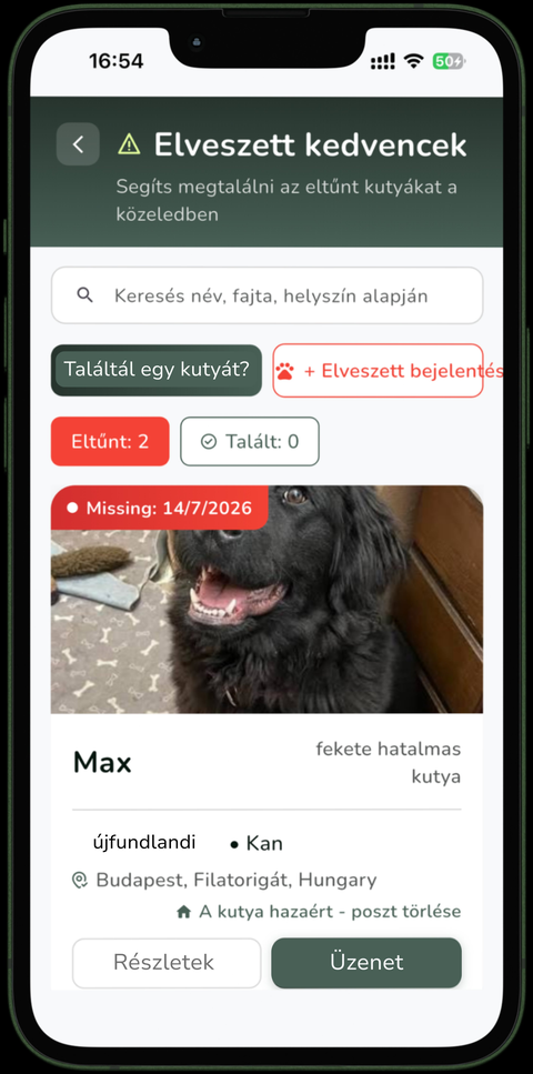 Elveszett kedvencek képernyő